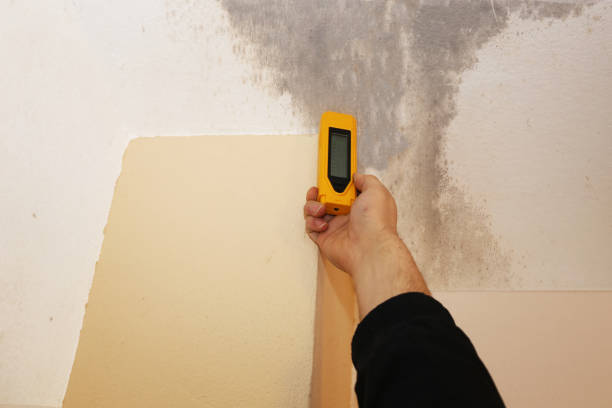 Best Mold Remediation for Healthcare Facilities  in Lawrence, NY