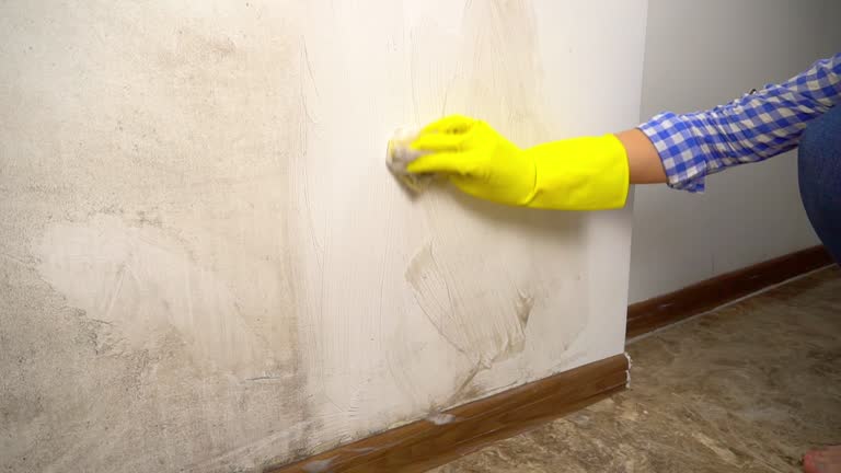 Best Airborne Mold Testing  in Lawrence, NY