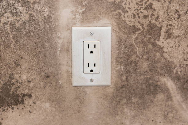 Best Black Mold Removal  in Lawrence, NY